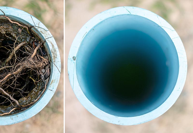 A split-image comparison showing a blue pipe clogged with a tangle of tree roots on the left alongside a completely clear, clean blue pipe on the right.