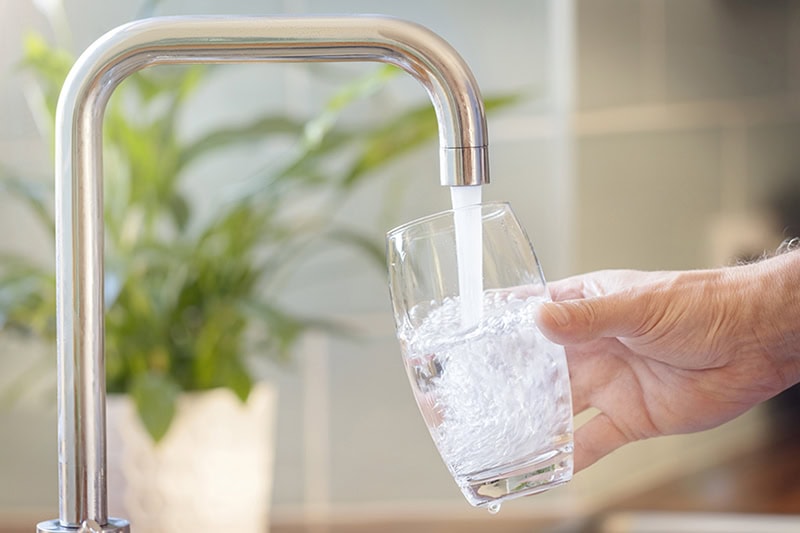 Filling up a glass with drinking water from kitchen tap.